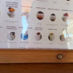 She's back! 😂 FYI: We have the same ice cream gal everyday.