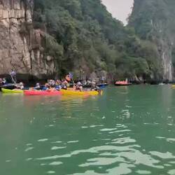 Nur wenige andere Menschen, die mit uns die "frei lebenden" Affen bewunderten 🤣