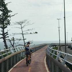 wunderbare radweag honds do