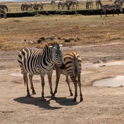 The cater wall is in the background