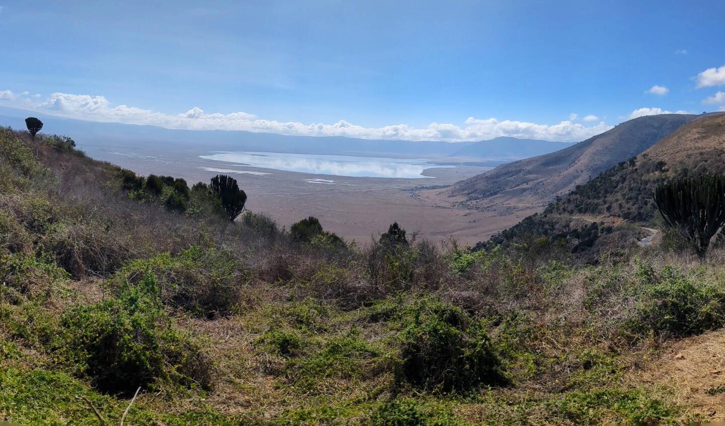 The crater from the rim