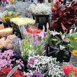 Flower market