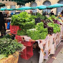 Beautiful vegetables everywhere.