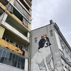 Georgia does have a lot of dogs