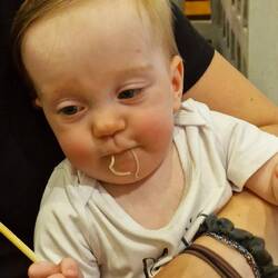 Kleines Nudelwalross