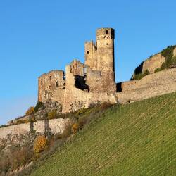 Ehrenfels Castle (13th century)