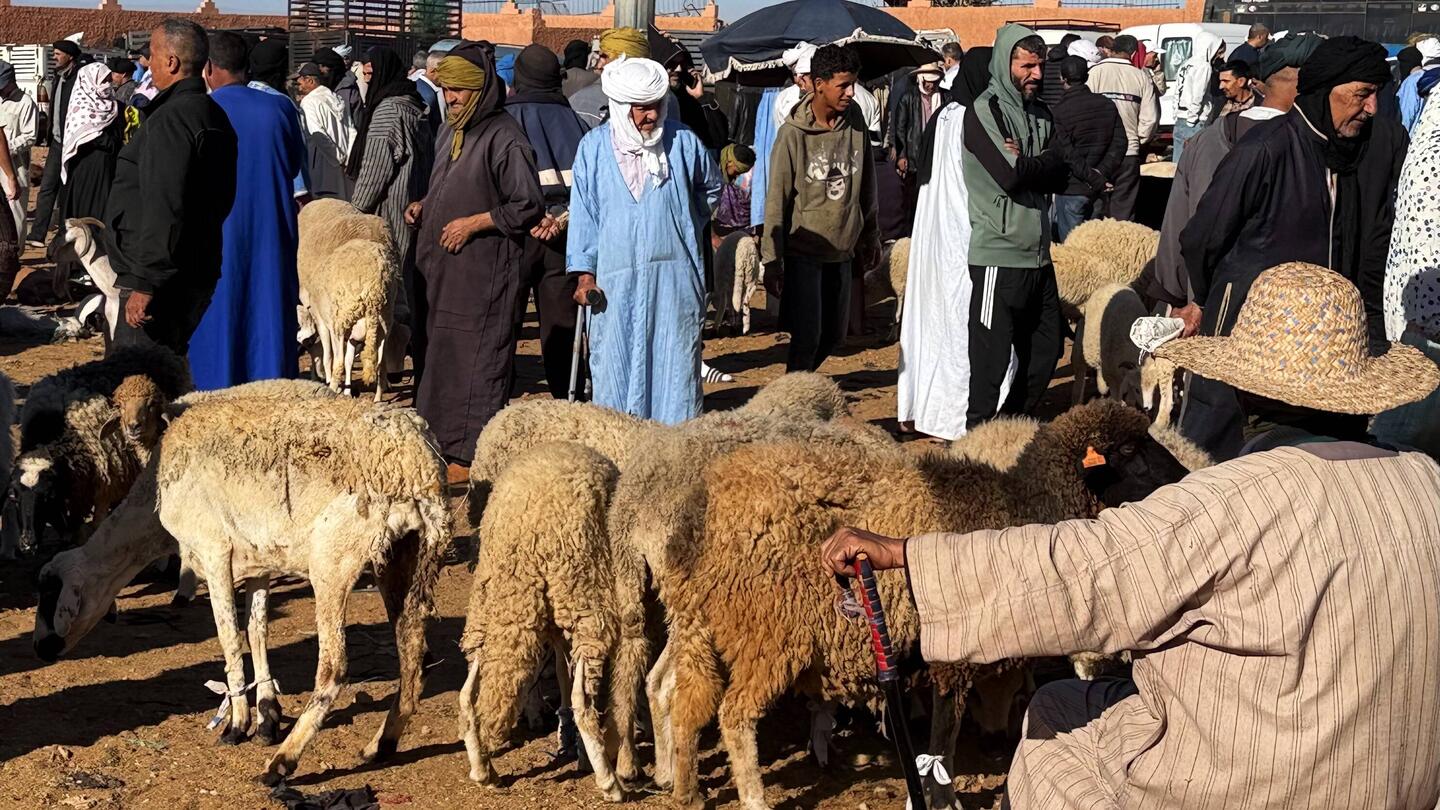 Kamelmarkt in Guelmim - hier viele Impressionen!