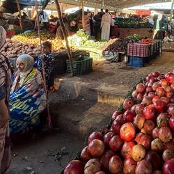Jetzt sind wir im Obst und Gemüse Markt