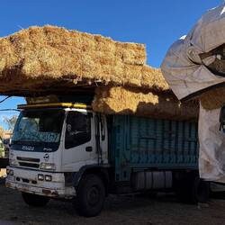 Die "Großhändler" 🤔