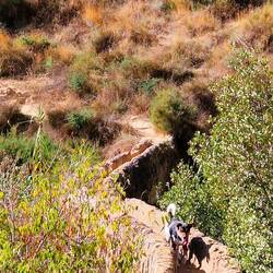 In der ganzen Rinne kein Wasser! 🥵