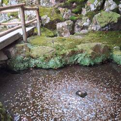Der Schatz im Silbersee - tatsächlich beim "silbernen Tempel"