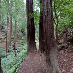 Natürliche Auslese, nicht jeder kann weiter gehen (hat noch gepaßt).