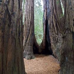Wie man sieht auch hier wieder Brandverletzungen.