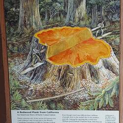 Das Scheibchen von Hand gesägt zur Weltausstellung.