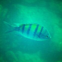 Gar nich so einfach ... alles fließt 🫨