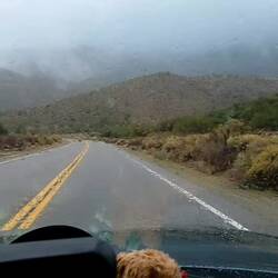 Heute den ganzen Tag im Regen🌧🌧🌧