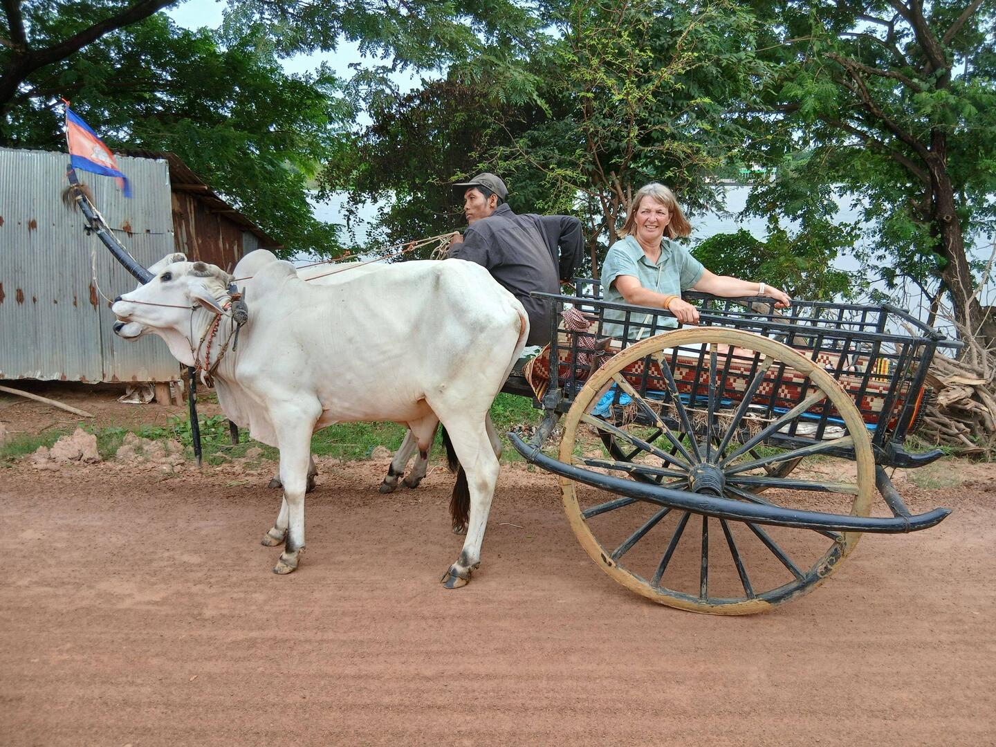 Rather uncomfortable transportation