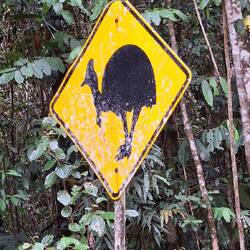 Nur noch 27 Grad am südlichen Ende des tropischen Regenwaldes