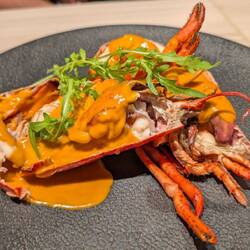 Lobster at a French restaurant we found