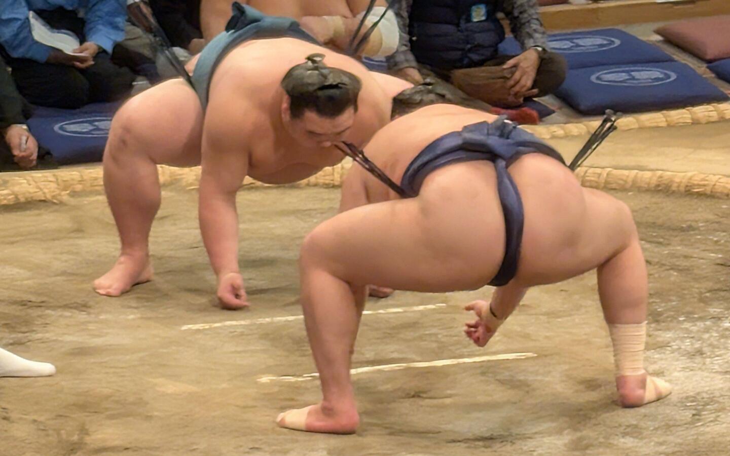 Sumo wrestling festival