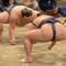 Sumo wrestling festival
