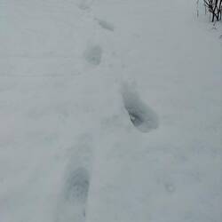 Mittlerweile ist der Schnee doppelt so hoch