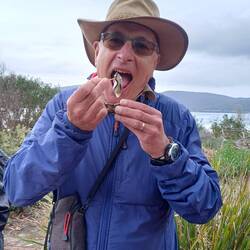 Oysters for morning tea