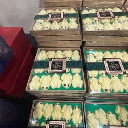 So viele Frösche 🐸