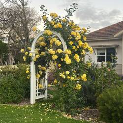 ... der Sommer kommt 🤗