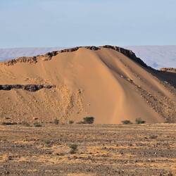 Our morning sports leads up the dunes