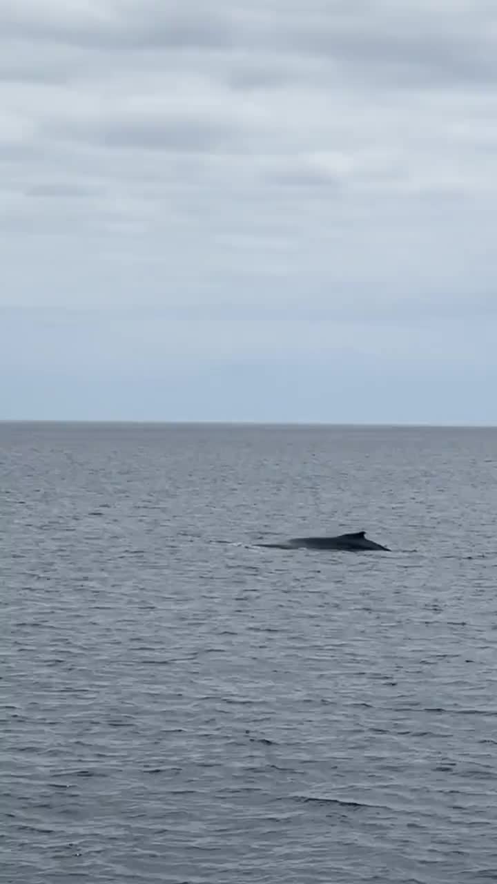 Bis zu Ende kucken 👀