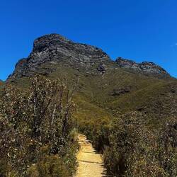 Jaaaa da ganz nach oben 🫠