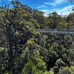 Valley of the giants