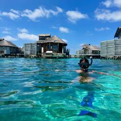 Afternoon villa snorkel... here fishy fishy ...