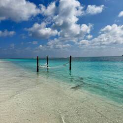 Heaven came down ...