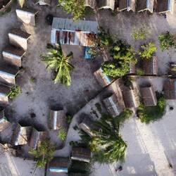 ... Camp unter Palmen 🌴