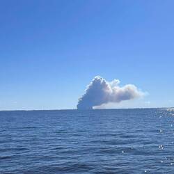 The snakes and rats'll be running for their lives... into the adjacent canefield.