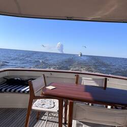 "Let the canefields burn", sang Graeme Connors in his song, written in 2000