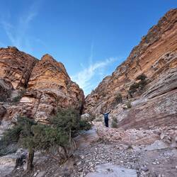 Hoch und runter, immer am Fels entlang.