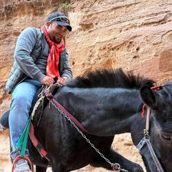 ...so ein Pferdeschicksal ist nicht erstrebenswert... ...also aufgepasst beim Karma wünschen...