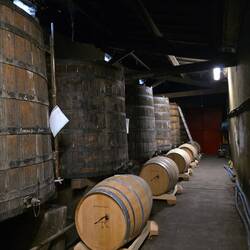 Der Keller mit alten und neuen Fässern. Die Wachtel ist das Logo der Fam. Peyrot.