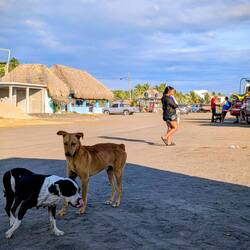 Unser Übernachtungsplatz