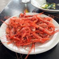 Tiny shrimp for lunch