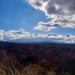 Vulkan Ruapehu im Hintergrund