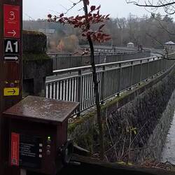 ....dann auch noch tolle Musik!🤣👍