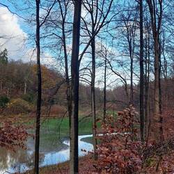 Hier mündet die Neye in die Talsperre