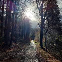 ...und die Sonne zeigte sich zögerlich