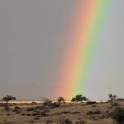 Hat aber alles was für sich! 🌈