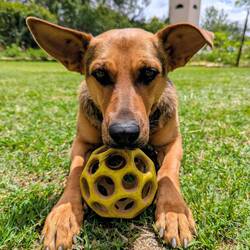 ...auch wie zu Hause...