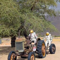 Wo kommen denn die her? 🤔